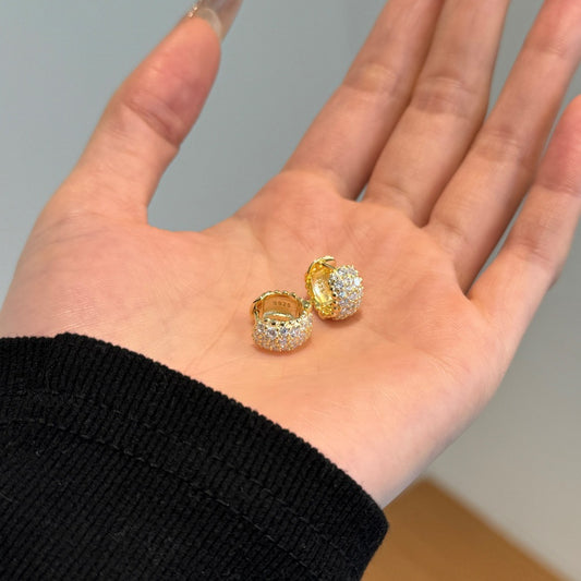 Fashion Elegant Zircon Earrings For Women